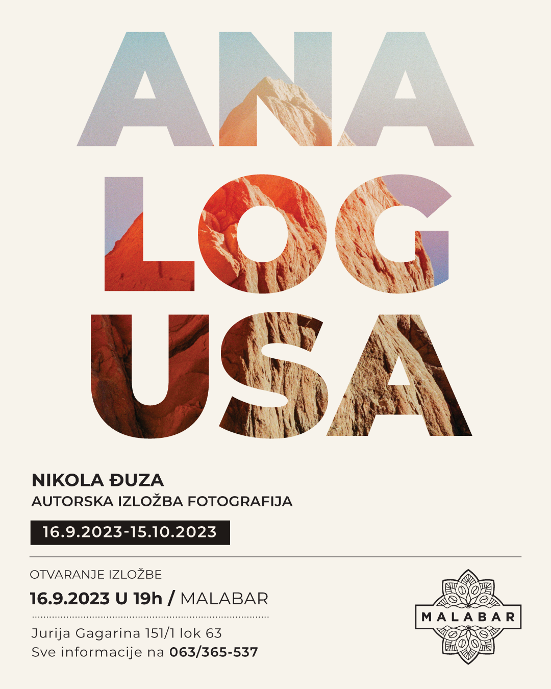 Analog USA art exhibition poster